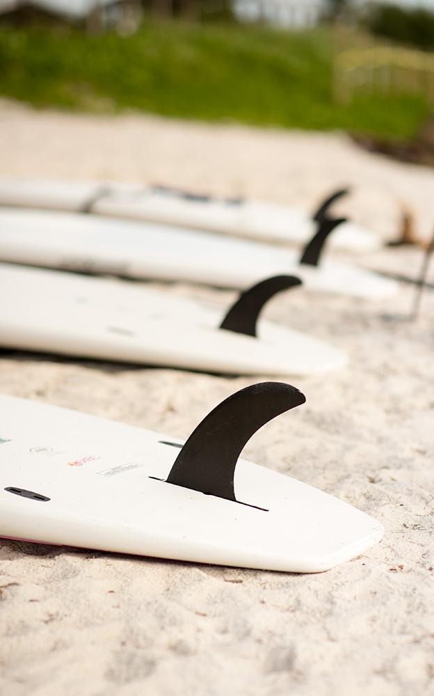 paddleboards