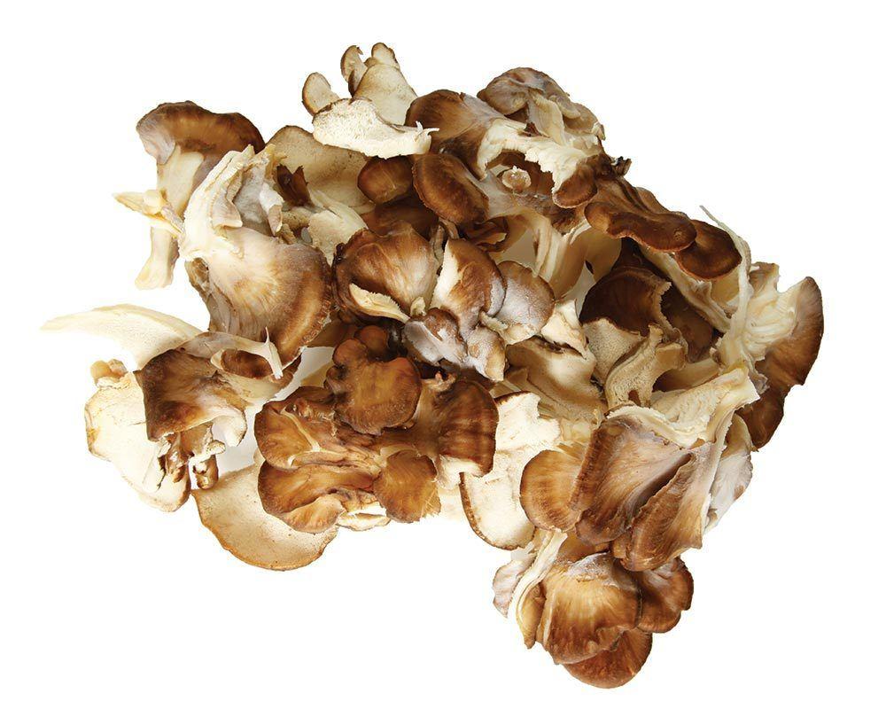 maitake