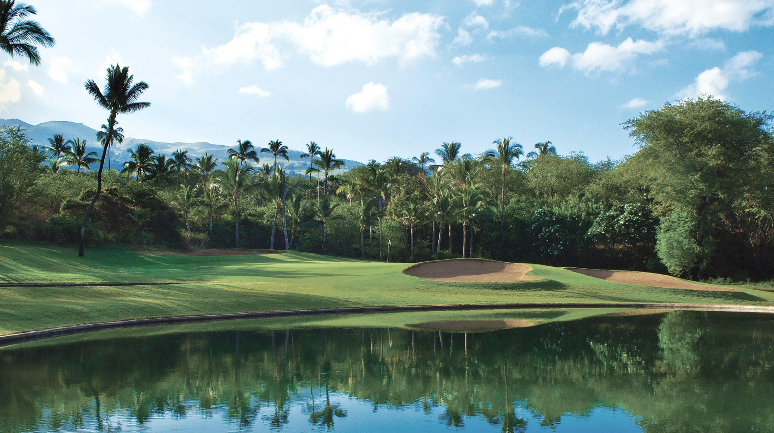 wailea blue