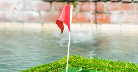 kngdewars watch pool green x