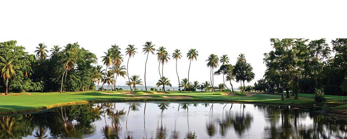 tpc dorado beach