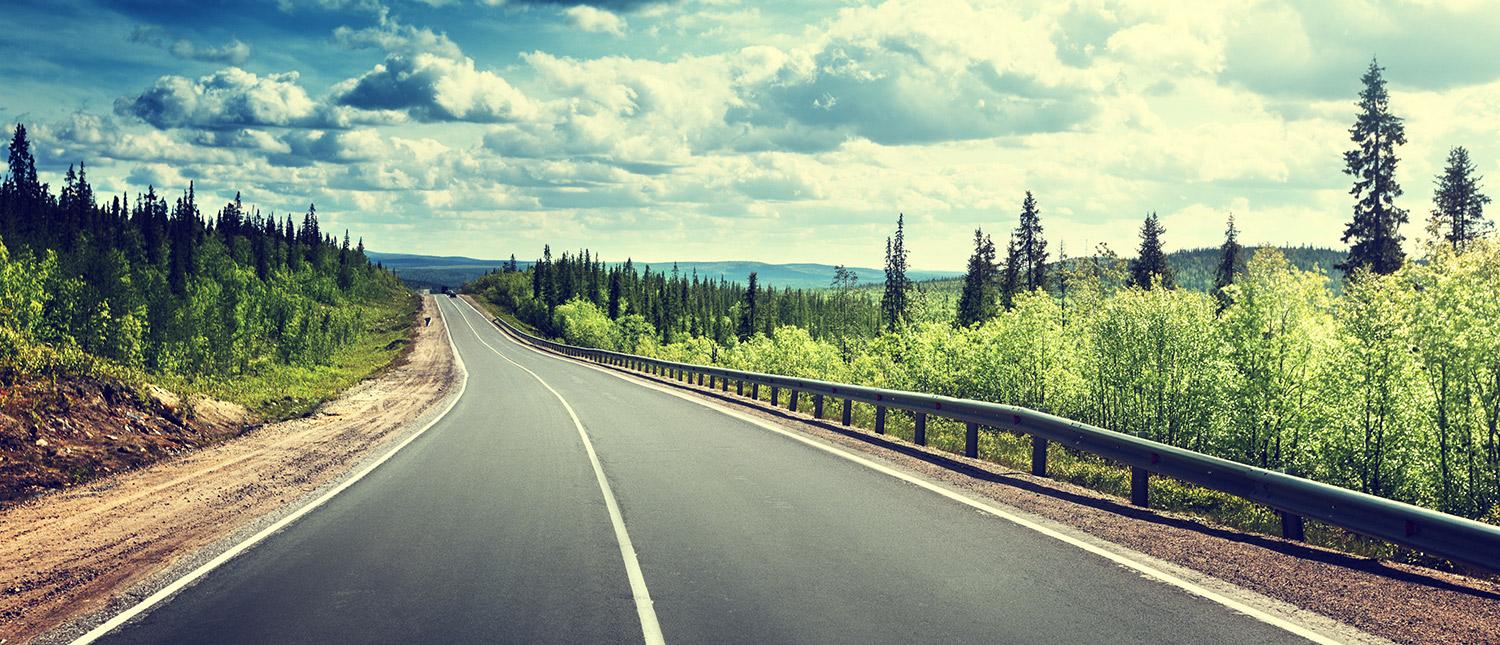 road in north forest