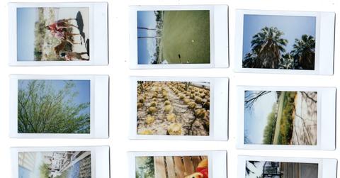 palmspringsfeature x