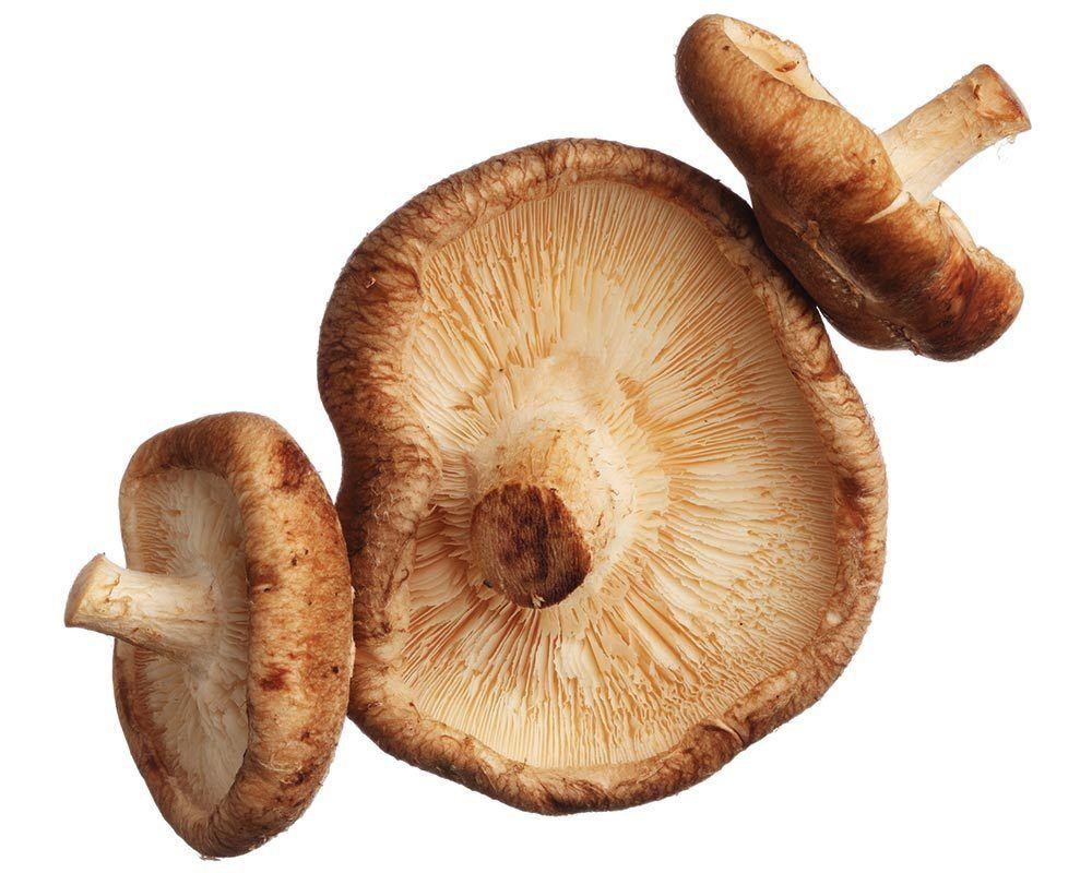 shiitake