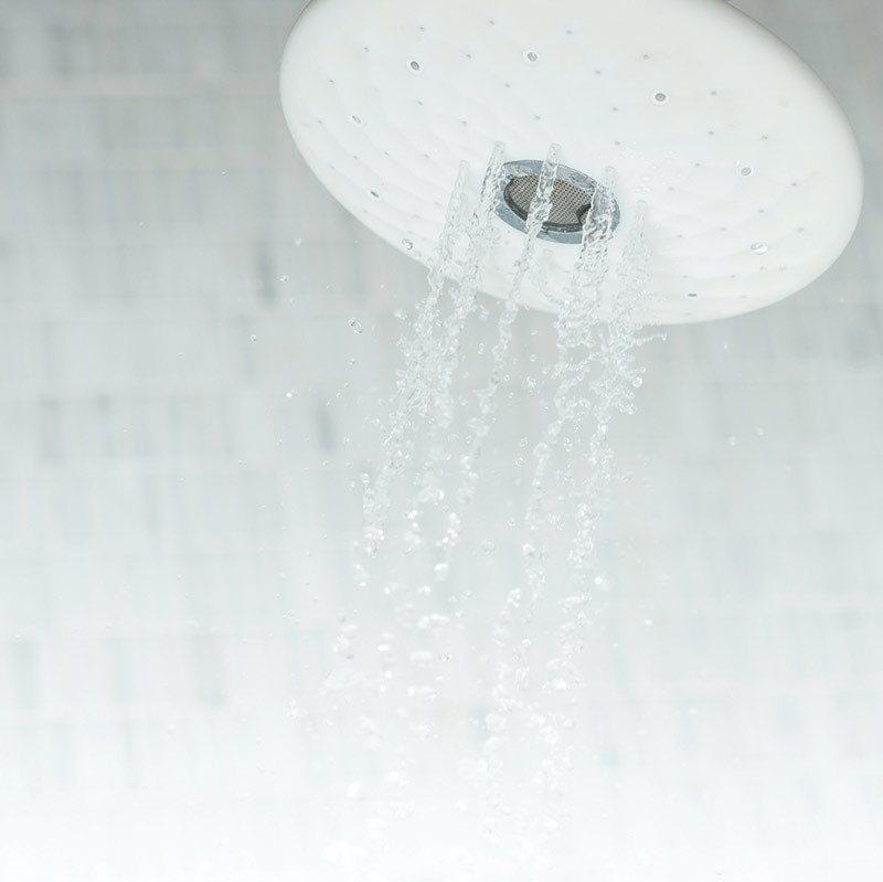 shower head