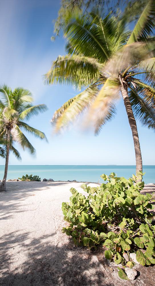 beach at fort zachary taylor