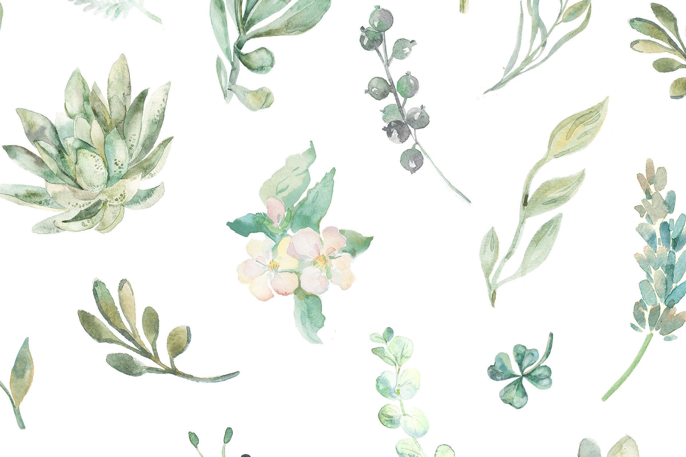 flower background  x