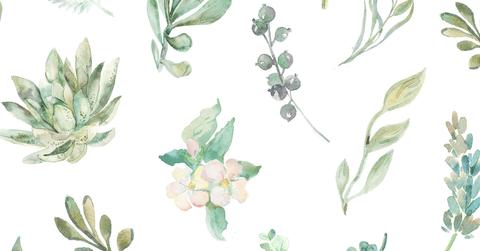 flower background  x